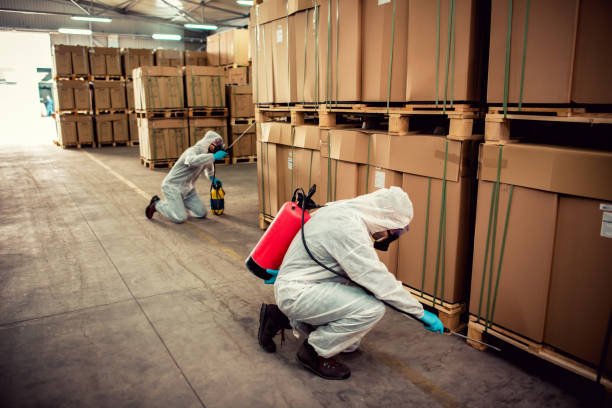 Best Rat Extermination Near Me  in Luling, TX
