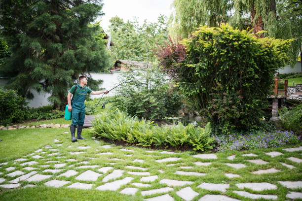 Best Pest Inspection Near Me  in Luling, TX