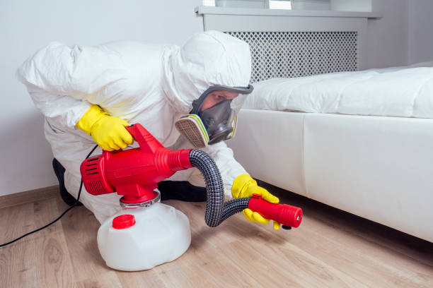 Best Commercial Pest Control Services  in Luling, TX