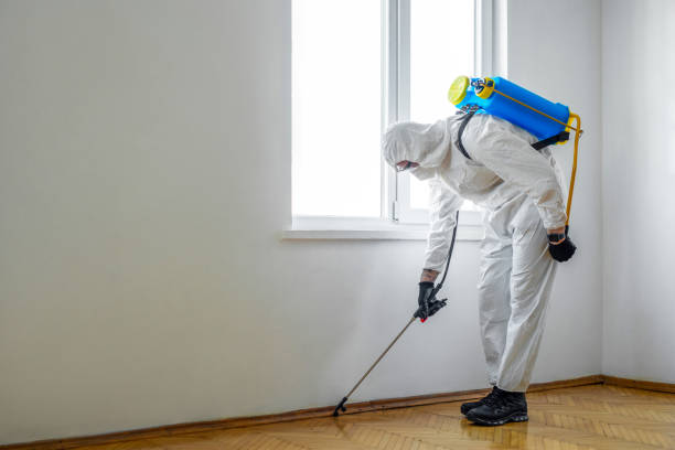 Luling, TX Pest Control Company