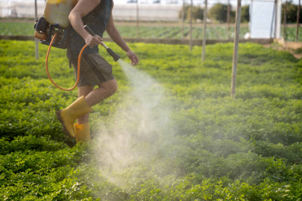 Best Exterminator Services  in Luling, TX