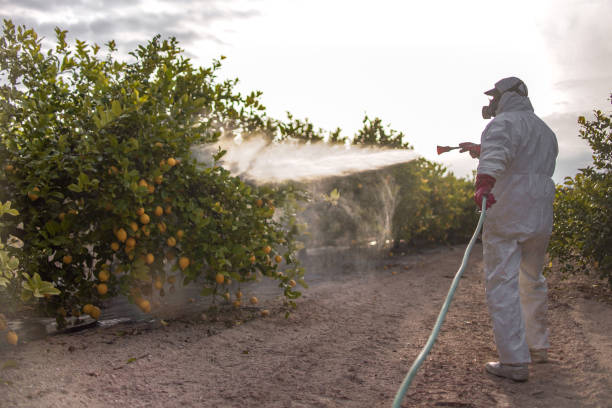 Best Rodent Control Near Me  in Luling, TX