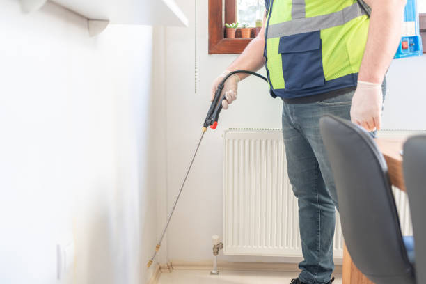 Best Flea Control Services  in Luling, TX