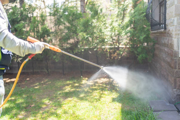 Pest Prevention Services in Luling, TX