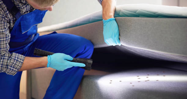 Best Ant Control Services  in Luling, TX