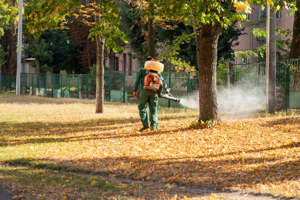 Best Best Pest Control Companies  in Luling, TX